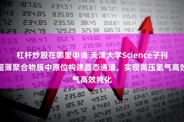 杠杆炒股在哪里申请 天津大学Science子刊:在超薄聚合物膜中原位构建晶态通道,实现高压氢气高效纯化